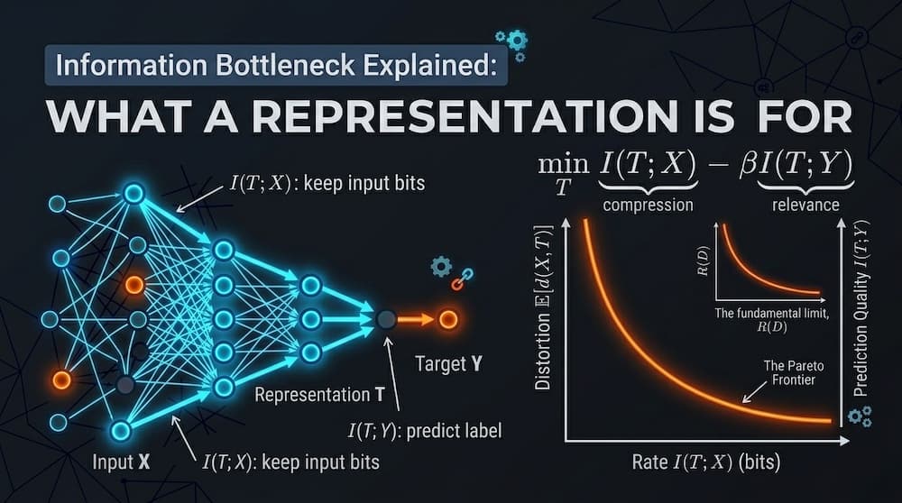 The Information Bottleneck Explained: What a Representation Is For